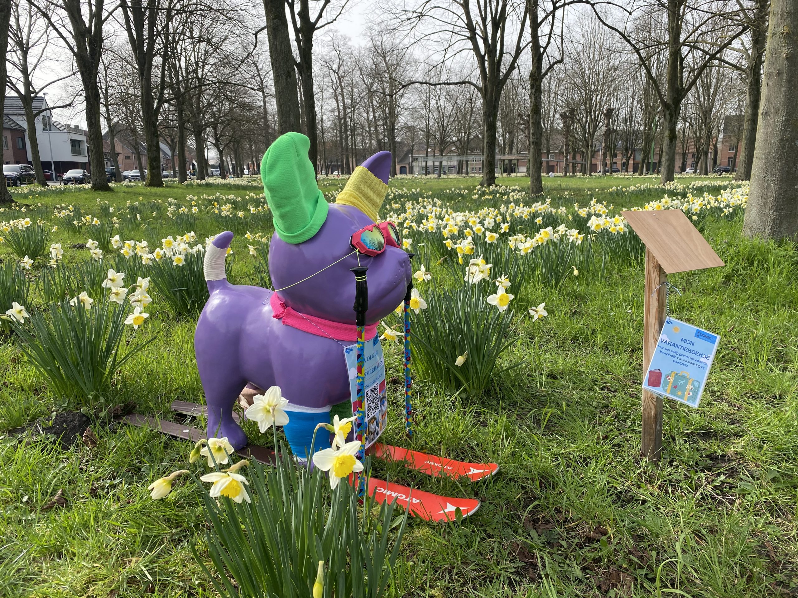 Volg het reisverhaal van onze ‘skihuahua’